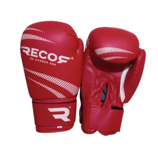 GANT DE BOXE, KICKBOXING MAUY-THAI, FULLCONTACT RECOR